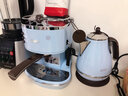 德龙（Delonghi） 咖啡机家用半自动意式浓缩 15Bar泵压式不锈钢锅炉 奶泡系统ECO310 复古橄榄绿 恒温加热 卡布奇诺拿铁 全国联保 实拍图