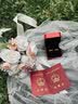 缔晶领证婚纱求婚新娘头纱白色蝴蝶结贝珠头饰结婚写真摄影旅拍仪式感 蝴蝶结贝珠头纱【发夹款】F439 实拍图