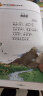 小学生必背古诗词100首（彩图注音版） 一二年级小学生课外阅读经典丛书 课外阅读系列 实拍图