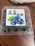 储褚【顺丰空运】云南新鲜蓝莓鲜果 国产花香蓝梅大果 时令水果  2盒装/125g(单果17mm) 实拍图