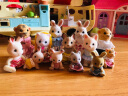 可美乐sylvanian families女孩过家家人偶家具人偶加配件日本进口玩具 蜜兔妈妈客厅套5163 晒单实拍图