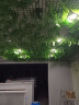 foojo富居仿真绿植空调管道遮挡装饰假花塑料葡萄藤条吊顶 葡萄叶12条 实拍图