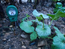 际工 土壤检测仪酸碱度湿度肥力度三合一测土仪器土壤ph肥料养分仪 三合一肥力计(绿色款) 晒单实拍图