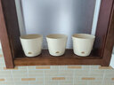 寿禾 花盆家庭阳台花卉加厚种植盆带托 潍育奶油白花盆中号17.5# 实拍图