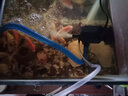 SOBO鱼缸过滤器三合一增氧造浪循环抽水换水泵水族箱上过滤盒水泵 WP-880F 带过滤盒【适合40以下缸】 实拍图
