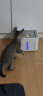 小甜橙恒温猫咪饮水机加热杀菌宠物饮水机自动饮水器猫碗循环流动水冬季 实拍图
