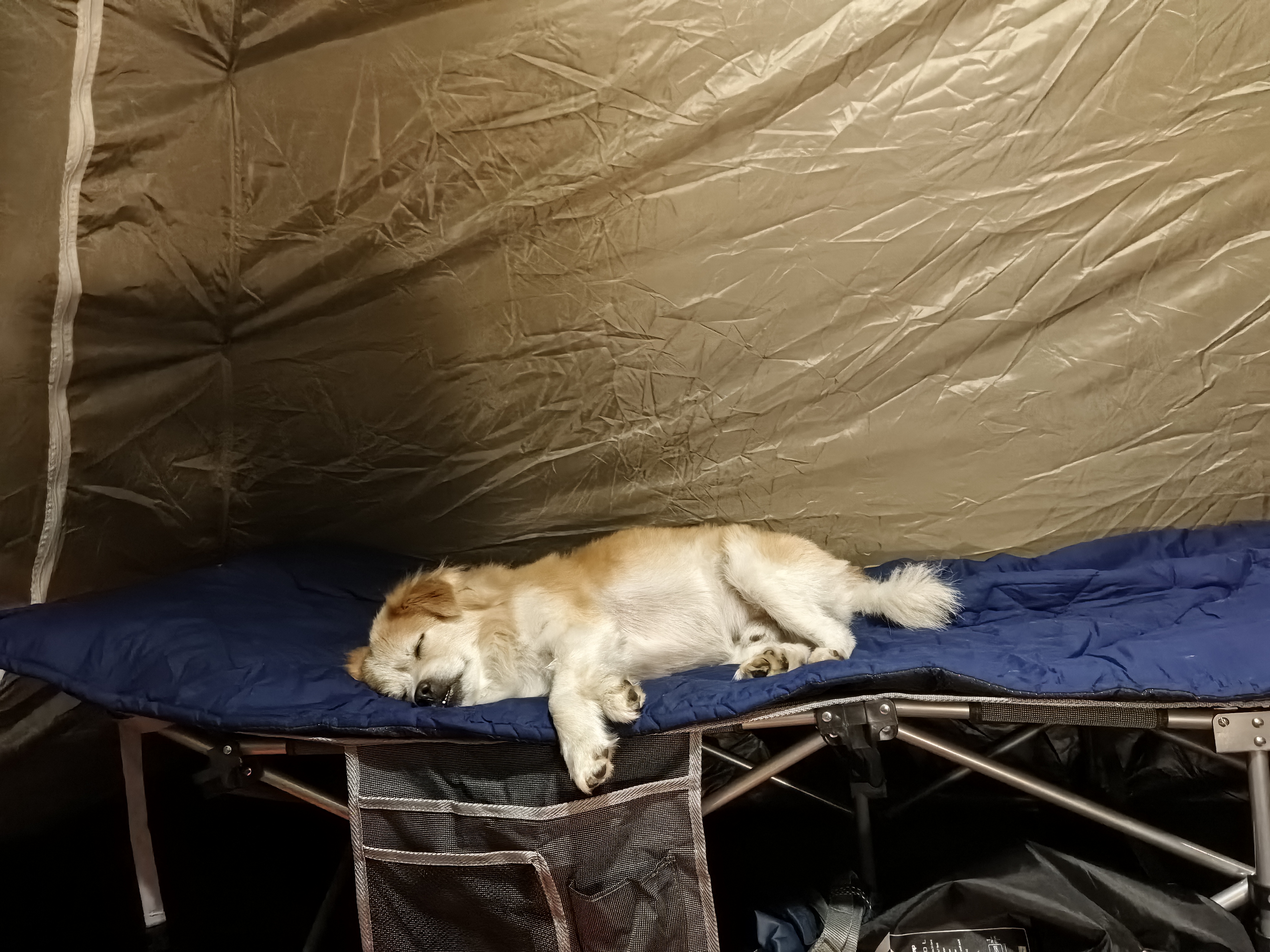 康尔（KingCamp）折叠床午休床褥子可机洗单人软床垫可折叠被褥铺底带收纳袋#卡其 实拍图