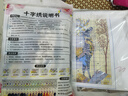 卡卡十字绣十字绣抱枕新款自己绣北欧简约麋鹿手工线绣一对客厅卧室靠枕 丝线款一对  满绣-【不含枕芯】 实拍图