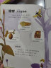 幼儿小百科 奇妙的昆虫世界  实拍图