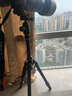 伟峰 WF-6610A 专业微单反相机三脚架 反折便携佳能尼康摄影摄像 户外直播旅游脚架 投影仪落地支架 实拍图