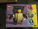 乐高（LEGO）礼品袋 方头仔积木儿童玩具 男孩女孩 生日礼物 40497 万圣节猫头鹰 实拍图