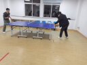 红双喜DHS狂飚乒乓球拍明星系列马龙GM03明星兵乓球成品拍直拍1只 实拍图