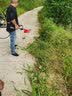 森牛（SENNIU）德国割草机汽油机四冲程背负式除草锄地松土微耕种植打草电动农具 四冲背式五合一-锄草+松土+烟钻 实拍图