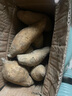 颜曼箐广东潮汕农家现挖白皮鸡蛋黄粉地瓜红薯板栗番薯香甜地瓜 2斤 小果 每斤3-5个 适合蒸 烤 实拍图