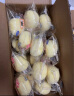 港荣蒸蛋糕椰香800g整箱 饼干蛋糕面包早餐 零食小点心 礼品盒 实拍图