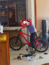 凤凰（PHOENIX） 山地自行车成人男女式变速碟刹减震越野青少年学生城市代步单车 顶配-全套轴承-辐条轮-橙色 24寸【钢架版】 24速【休闲版】 实拍图