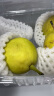 京鲜生 新疆特级库尔勒香梨5kg特级 单果120g以上 生鲜水果 实拍图
