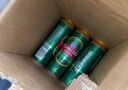 青岛啤酒（TsingTao）经典550ml*18听+精酿白啤500ml*3听 春日出游 实拍图