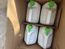 白猫 柠檬薄荷洗洁精5kg*4瓶（整箱装） A类食品用祛油除腥青柠薄荷香 实拍图