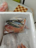 施佳嗒【现捕现发】海杂鱼批发新鲜深海鱼大杂烩海鲜水产 2.5kg 【5斤加量装】 海杂鱼 实拍图