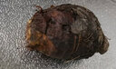 京鲜生广西荔浦芋头 300g*3新鲜蔬菜芋头 源头直发 实拍图
