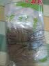 眞的老四川特产传统泡菜泡嫩姜泡黄姜泡姜泡仔姜250g 2000g泡姜 实拍图