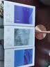 林清玄经典散文（套装6册）:温一壶月光下酒+多情多风波+永生的凤凰+比景泰蓝更蓝+热气球上升+一滴水到海洋 实拍图