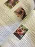 0-3岁婴幼儿家庭教育与指导（新标准早期教育专业系列教材） 实拍图