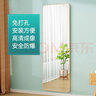 含雅 全身穿衣镜子贴墙自粘家用卧室墙面免打孔挂墙粘墙试衣落地镜子 银白色60*165【粘贴、挂墙】 实拍图
