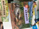 我的野生动物朋友绘本（套装共12册） 实拍图