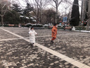 万宝绿 冬季保暖小学生儿童3D立体防护口罩1-3岁独立包装 一次性防尘口罩3-6岁宝宝男女透气可爱 超柔宽耳带【4-7岁 女大童】 30只独立精装 实拍图