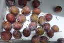 诱鲜地新疆法兰西西梅礼盒3斤 单果15-22g 喀什西梅新鲜水果中秋礼盒 晒单实拍图