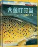 大鱼叮叮当  美国“宝藏国家奖”  国际绘本大师大卫.香农最新力作！ 令人惊叹的油画充满了神秘的吸引力 做正确的事远比一时的名声和荣耀更令人满足3-8岁（启发出品） 实拍图
