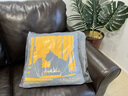 豆瓣读书抱枕——藏书票系列A款 沙发靠垫办公室靠枕汽车腰靠垫腰枕垫 实拍图