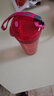 特百惠（Tupperware）水杯400ml晶彩茶韵随手杯学生运动防漏塑料杯车载便携杯子 400ml活力粉 实拍图