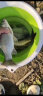 精工坊（TacoFo） 50米尼龙竞技钓鱼线日本进口强拉力主线不打卷子线渔线套装渔具配件 主线 0.8号 晒单实拍图