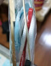 爱吃鱼自制风筝儿童涂色风筝手工教学风筝diy风筝材料包做风筝亲子玩具 加厚款小蜜蜂+颜料画笔+50米线 实拍图