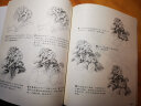 飞鸟绘+花鸟绘+繁花绘（套装共3册） 实拍图
