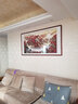 颜堂山水画客厅装饰沙发背景墙挂画办公室壁画新中式中堂字画水墨国画 鸿运当头A首富同款 实木框+有机玻璃165*85厘米 实拍图