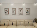 佑圣新中式客厅装饰画晶瓷画客厅简约三联画卧室沙发背景墙壁画兰花 梅兰竹菊四君子 40*60拉丝亮钛金【晶瓷画】 实拍图