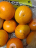 探味君 广西武鸣沃柑 新鲜水果橘子应当季时令桔子整箱 生鲜 净重1.8-2斤 【实惠装】单果60-65mm 实拍图