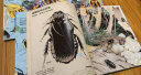 神秘的蟑螂图鉴-生命的力量(精装儿童绘本 培养孩子对生物多样性的思考，对生命的敬畏。自然科学绘本大师、博物学家盛口满全新力作。附赠大幅精美导读) 实拍图