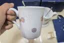 富玉景德镇高温陶瓷马克杯水杯牛奶杯情侣杯 青花/粉彩皮球花系列 青花皮球花 实拍图
