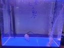博宇（BOYU）鱼缸水族箱增氧生态鱼缸带柜子客厅家用小金鱼缸玻璃造景吧台地柜 MS-520懒人鱼缸48*25*49cm 黑色鱼缸 实拍图