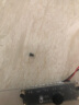 宝璋 路由器散热架 宽带猫 机顶盒 散热器风扇 路由器散热器底座可调速 全铝 USB12cm静音风扇 单层调速版 晒单实拍图
