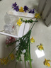 礼赫家饰 木栅栏仿真花套装仿真绿色植物花草 假花塑料花 桌面隔断摆放花艺摆设 40厘米白色木栅栏黄色蝴蝶兰套装 实拍图