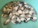 美加佳 韩国大号冷冻牡蛎肉 生蚝肉 净重500g M码 海蛎子 深海牡蛎 实拍图