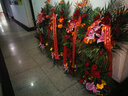 领香鲜花速递开业花篮乔迁商务用花演出祝贺大麦花篮全国同城配送 开业花篮-1个骏业肇兴 实拍图