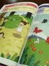 阶梯数学思维训练（套装全5册）[2-4岁] 袋鼠妈妈童书  实拍图