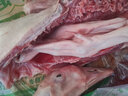 屋下鹅 新鲜现杀鹅肉大白鹅 3kg/只 农家散养土鹅大鹅 实拍图